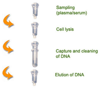 EpiXtract(TM) DNA oLbg@^p ̎gp@