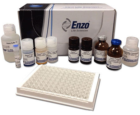 GLP-1 ELISA kit