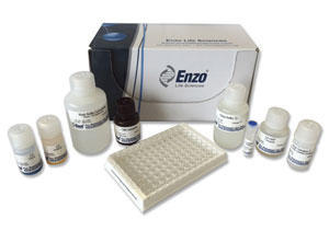 LH ELISA Lbg