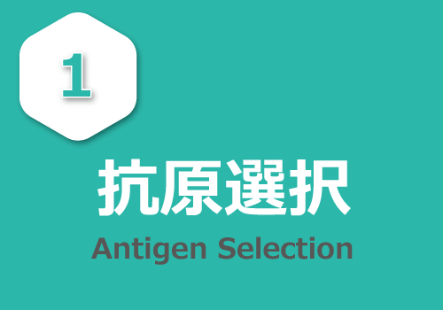 Antigen Selection