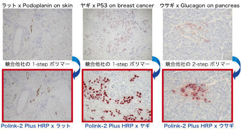 Polink-2 Plus oV[YgpF}