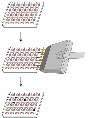 Cas9蔭זẼAvP[V