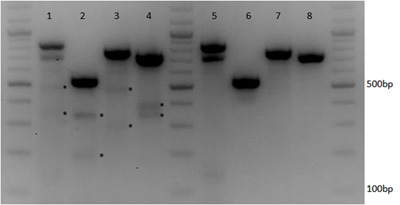 `qWIƂCRISPR-Cas9}`vLVO