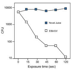 Novel Juice及び臭化エチジウムのシグナルの経時変化比較
