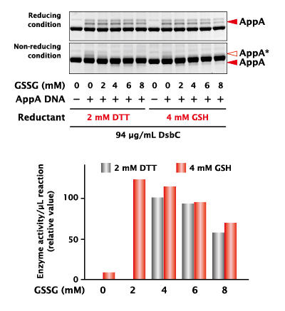 GFK_PUREfrex_08_2.jpg