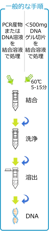 Micro-Elute DNA 精製／抽出キット PCR クリーンアップ／ゲル抽出／DNA クリーンアップ／DNA  濃縮｜4つの用途に使える格安DNA精製キット コスモ・バイオ株式会社