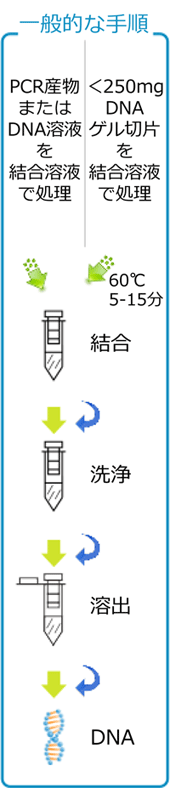 Plus DNA 精製／抽出キット 格安！ 15分以内でゲル抽出・PCR 産物のクリーンアップ・脱塩ができます<br />  コスモ・バイオ株式会社