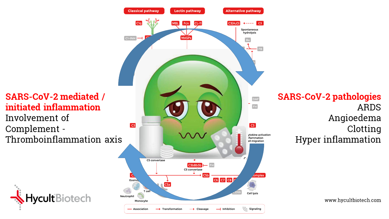 Complement and Thromboinflammation in SARS-CoV-2