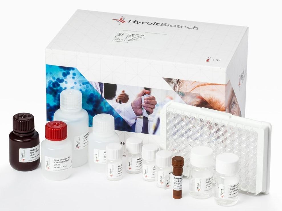 EcHECk ELISA キット