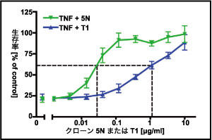 阻害特性はアクチノマイシンD　L929テストによって評価した。