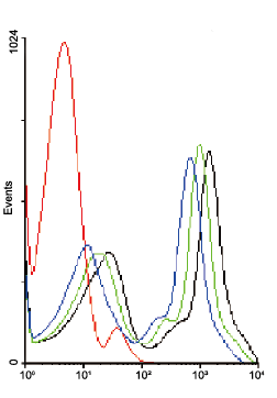 髄好中球（CD11b-hi）中のラットMPOを、ラットMPOモノクローナル抗体（クローン：2 D 4 、品番：HM3030F）を使用してフローサイトメトリーで検出