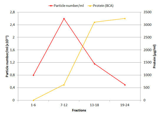 細胞外小胞とタンパク質の溶出量を比較