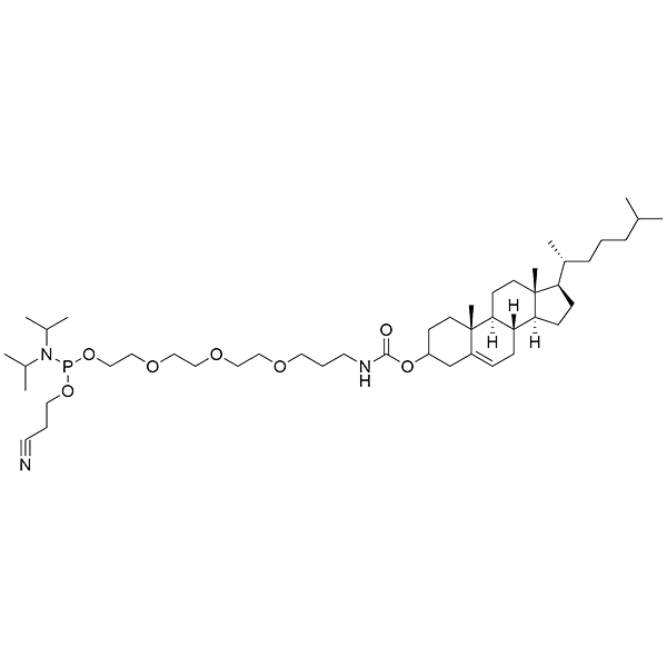HON_OP-013.png