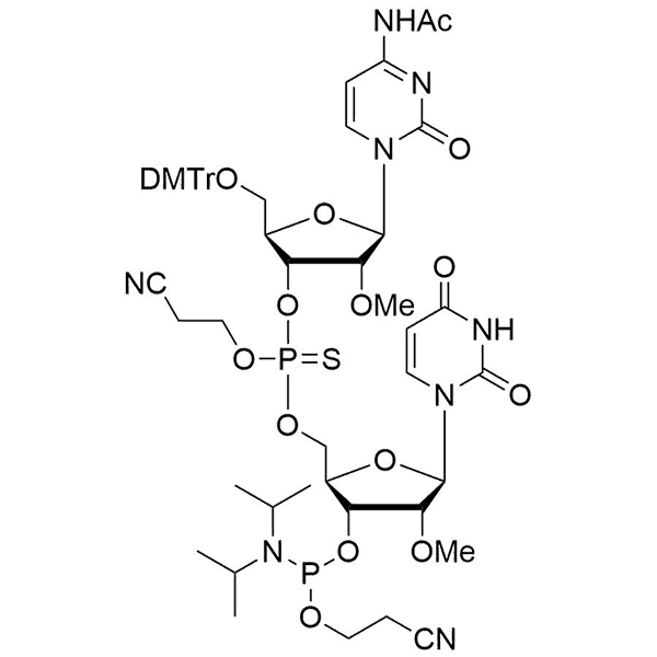 HON_OP-097.png