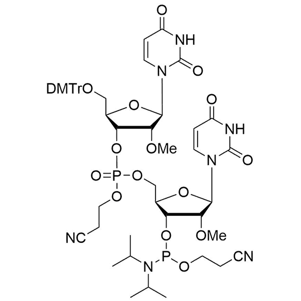 HON_OP-110.png