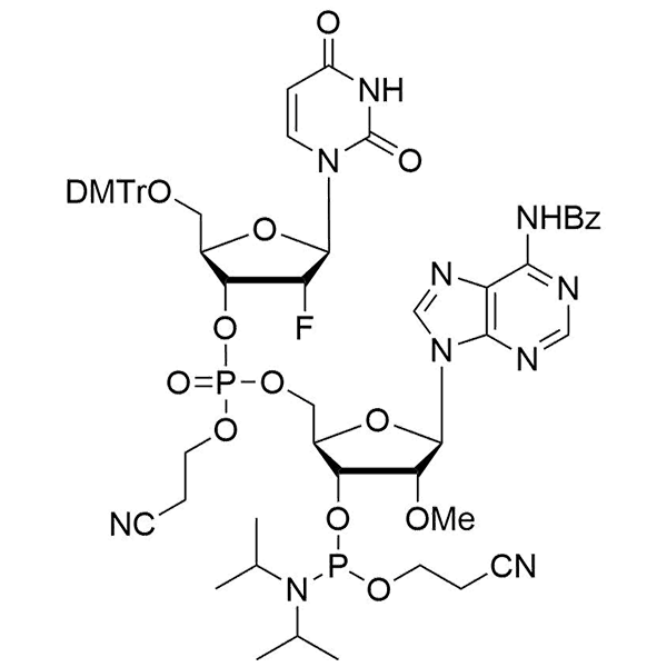 HON_OP-114.png