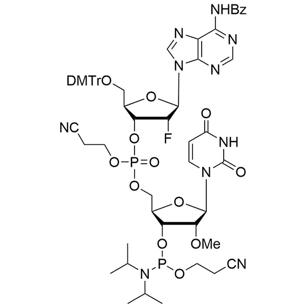 HON_OP-115.png