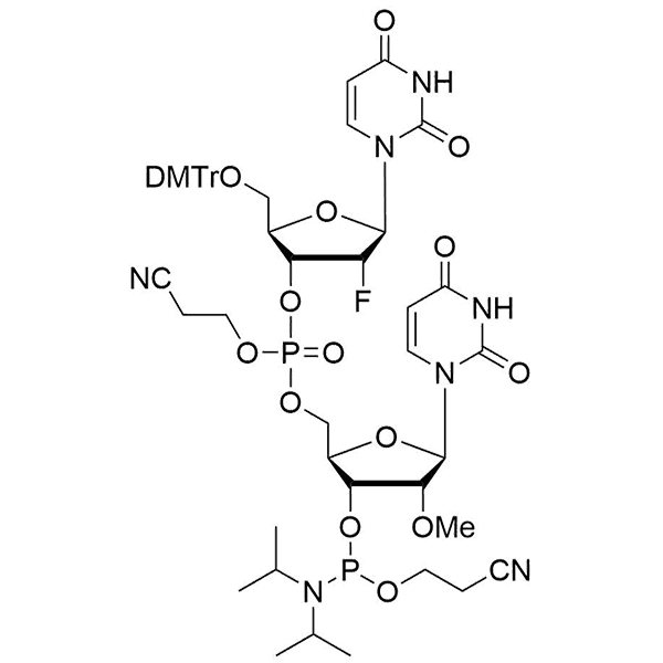 HON_OP-117.png