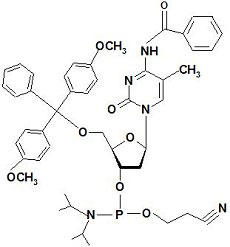 DNA ホスホロアミダイト