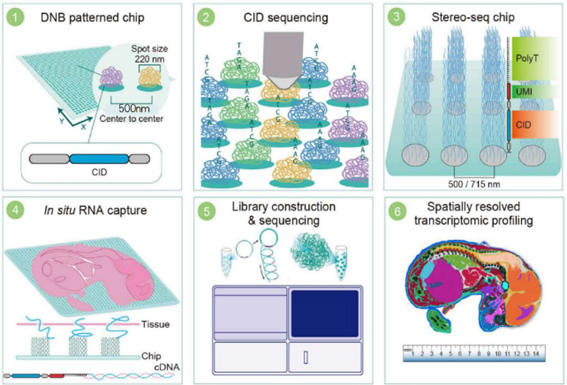 測定原理と実験ワークフロー