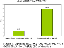 ^JXp[[̌o