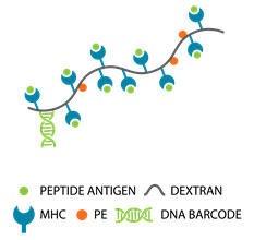 dCODE DextrameriRjeNmW[