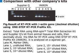 RNA-spin トータルRNA抽出キット使用データ
