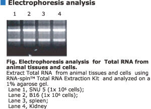 RNA-spin g[^RNAoLbggpf[^