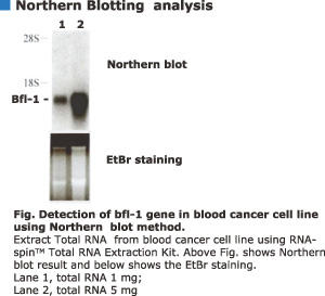 RNA-spin g[^RNAoLbggpf[^