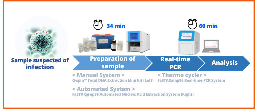 INB_25246_workflow.jpg