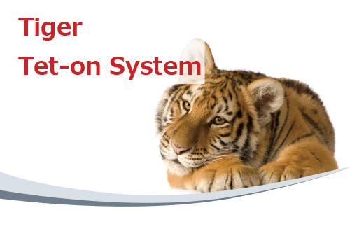 ING_TetOn_banner_01.jpg