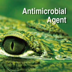 ING_antimicrobialagent_banner_01.jpg