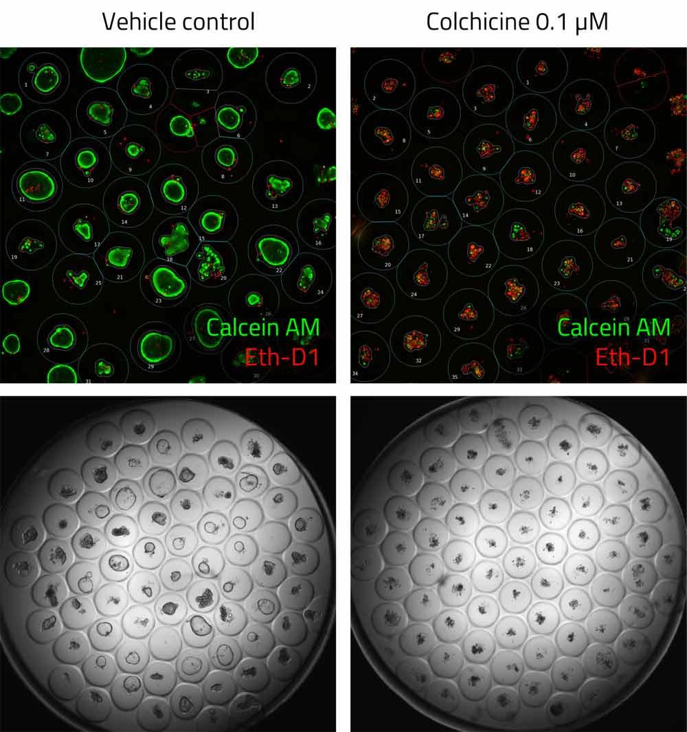 INP_3D_InSight_DIGIT_fig2L.jpg
