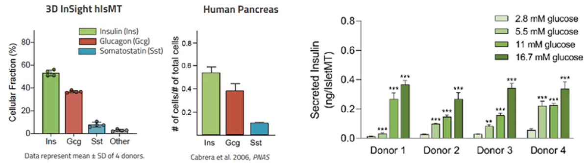 INP_insight_islet_fig2.png