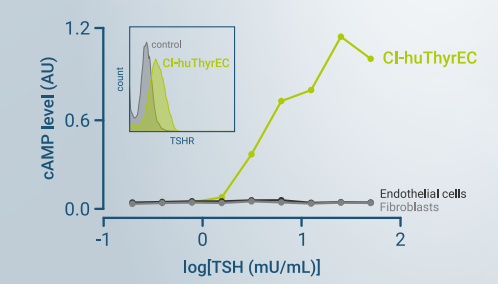 INS_ThyrEC_response_fig2.png