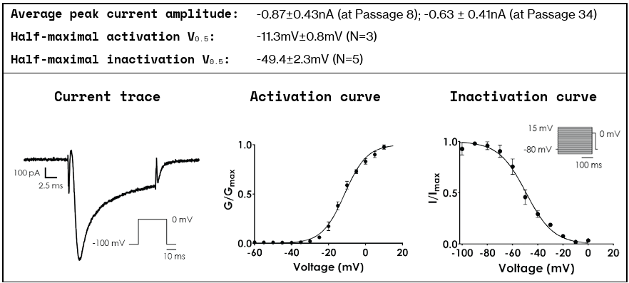 INS_nav1_8_cell_line_fig1.png