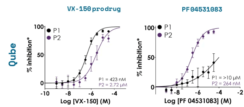 INS_nav1_8_cell_line_fig2.png