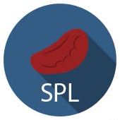 iQ Biosciences社 動物脾臓細胞(Splenocytes)