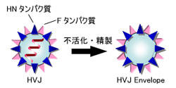 ISK_CF001_2.jpg