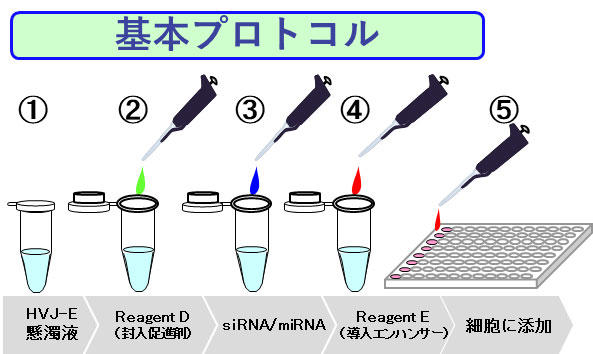 基本プロトコル