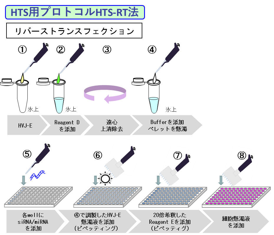 HTS用プロトコルHTS-RT法