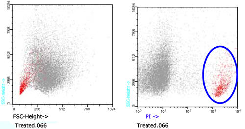 }DJurkat זE(T-cell leukemia, human)Bgň͎͂זEB