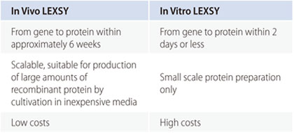 In Vivo / In Vitro LEXSY ̔r