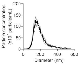 JOT_EV_standard_Fig01.jpg