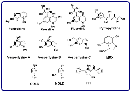 Fluorescent /Crosslinked