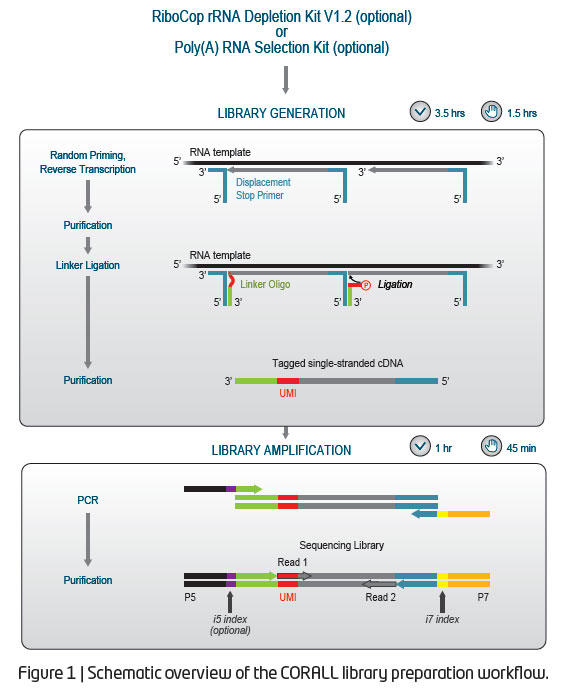 CORALL Total RNA-Seq Library Prep Kit
