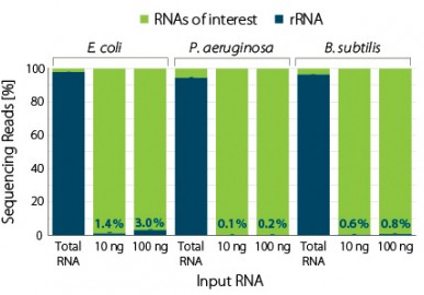 P׋RNAɂ郊{\[RNA