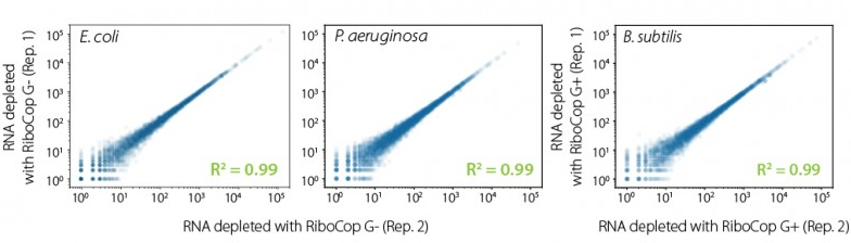 RiboCop rRNA Depletion Kit̍Č