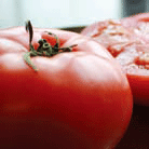 LKT_tomato.gif