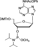 Pac-dA-Me Phosphoramidite